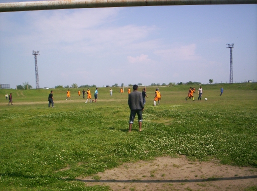 Picture 028